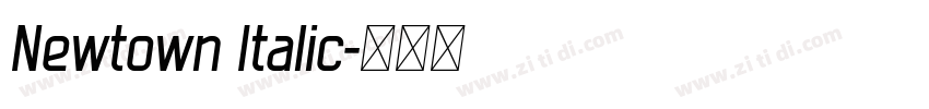 Newtown Italic字体转换